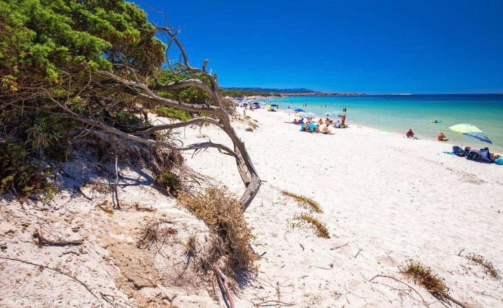 Appartamento A Pochi Passi Dalla Spiaggia Alghero Exteriér fotografie